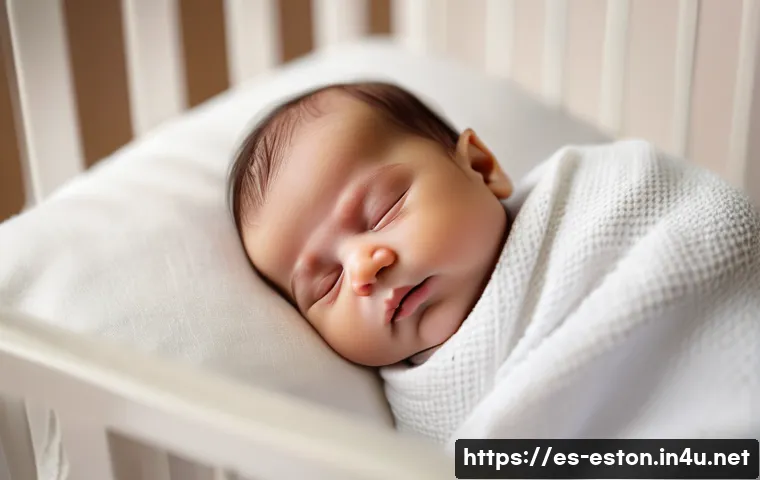 Estonia el sistema de bienestar social y seguro de salud que no sabías que existía 3 에스토니아 사회 복지 및 건강 보험 시스템 관련 이미지 1